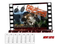 05-calendrier-2012-secteur-video-cnt-aout.jpg